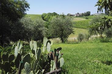 تختخواب و صبحانه Il Giuggiolo