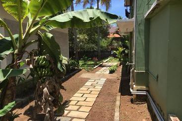 Divine Bliss Beach Resort