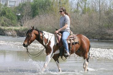 هتل Cowboys Guest Ranch