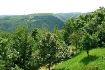 B&b Il Suono Del Bosco
