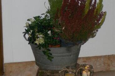 تختخواب و صبحانه Fra Rose E Mughi