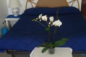 تختخواب و صبحانه Limoni Sul Mare