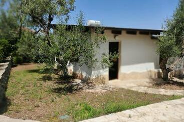 تختخواب و صبحانه Maglioferro Residence