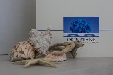 B&b Ortensia