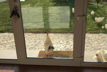 تختخواب و صبحانه Agriturismo Lemire