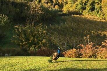 تختخواب و صبحانه Agriturismo Lemire
