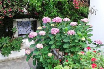 B&b Il Giardino Di Villa Anna
