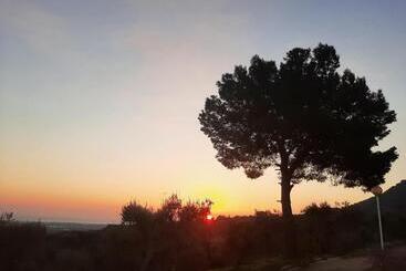 تختخواب و صبحانه Alla Panoramica