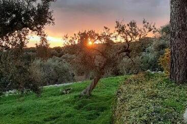 تختخواب و صبحانه Alla Panoramica