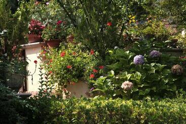 تختخواب و صبحانه Casa Del Girasole