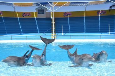 هتل Splash Inn