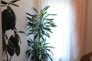 تختخواب و صبحانه Rooms Stella