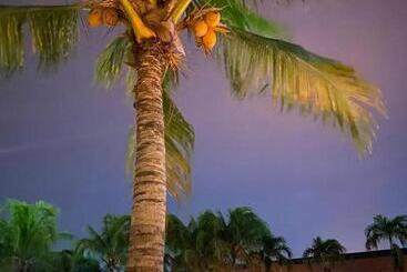 هتل Las Palmas Inn