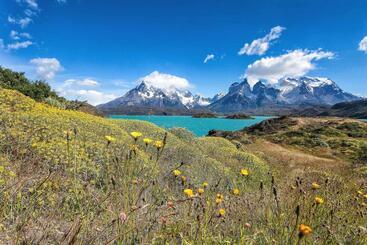 هتل Las Torres Patagonia