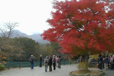 Pension Hana Kirin