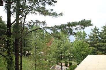 هتل Chinar Family Resort