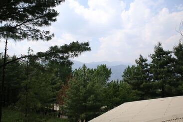 هتل Chinar Family Resort