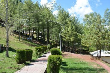 هتل Chinar Family Resort