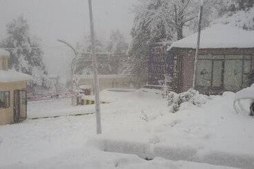 هتل Chinar Family Resort