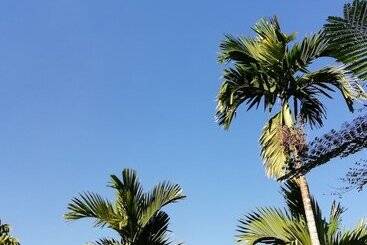 هتل Omega Tours Eco Jungle Lodge