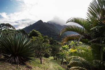 هتل Omega Tours Eco Jungle Lodge