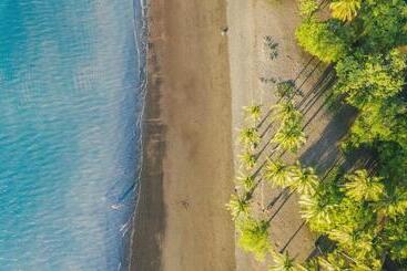 فندق Papagayo Golden Palms Beachfront