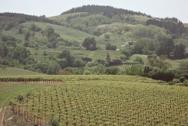 هتل Rural Gaintza