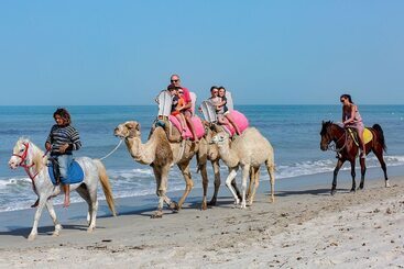 استراحتگاه Palm Beach Club Marmara Djerba