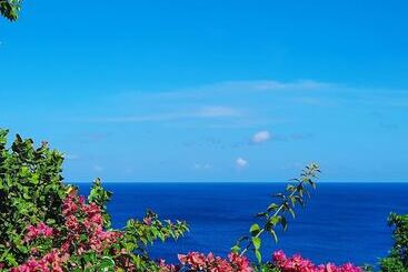 Villa Being   Tobago Luxury B&b