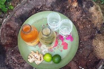 تختخواب و صبحانه Plan Sea Guest House