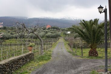 هتل Etna Wine Agriturismo