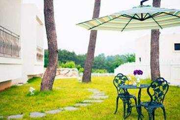 Sea & Pine Pension