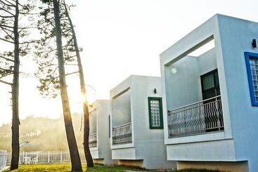 Sea & Pine Pension