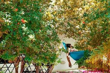 استراحتگاه Bungalows Puravida