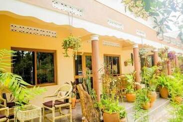 تختخواب و صبحانه Alpha Country Motel