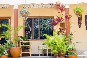 تختخواب و صبحانه Alpha Country Motel