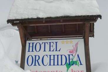 Orchidea - Tonale Pass