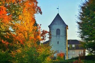 Bed and Breakfast Lakelodge Romanshorn