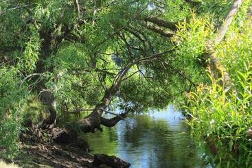 تختخواب و صبحانه On The River