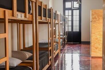هتل Orchid Hostels