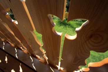 تختخواب و صبحانه Butterfly Lodge