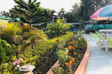 Tea Heaven Resort