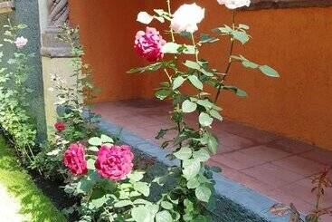 تختخواب و صبحانه Villa Alfonsina