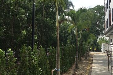 酒店 Bangkok Boutique Resort Rangsit