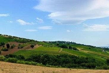 Radici Resort