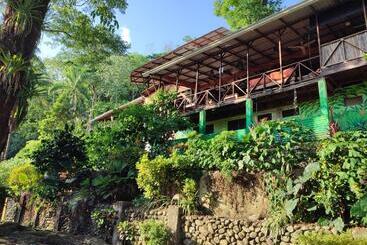 Hostel Plinio
