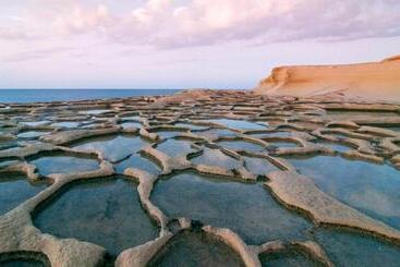 تختخواب و صبحانه Mood Farmhouse Mythology
