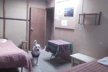 Tony S House Eco Hostel