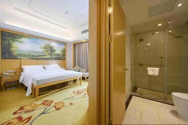 Vienna International Hotel Shanghai Malu Station