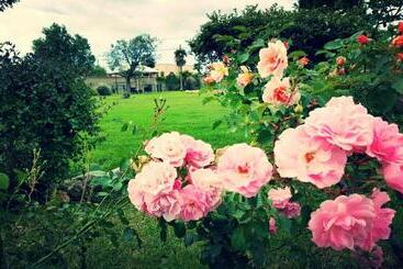 Elegance B&b